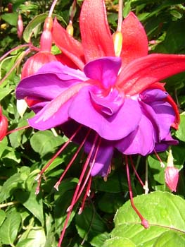 DSCF1015